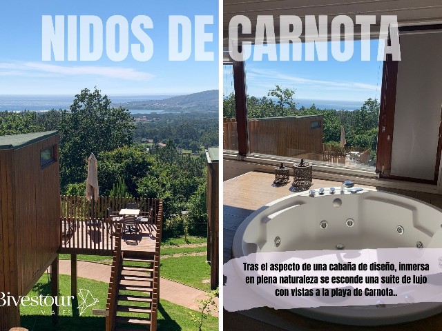 nidos de carnota